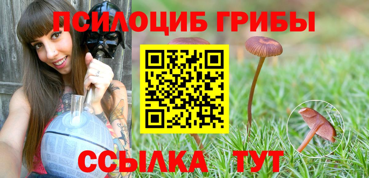 Галлюциногенные грибы мухоморы Миллерово