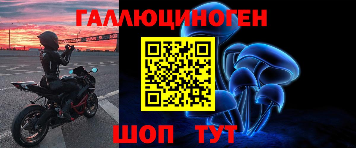 Миллерово  Галлюциногенные грибы Cubensis  Вход с VPN 